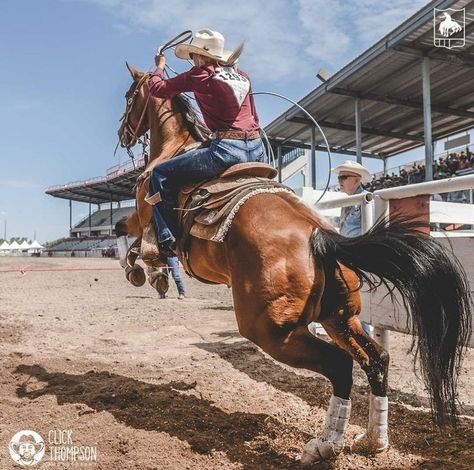 Rodeo Astethic, Horses Barrel Racing, Barrel Racing Horses Pictures, Barrel Racer Aesthetic, Western Horse Photography, Barrel Racing Aesthetic, Roping Horses, Bronc Horse, Barrel Racing Photos