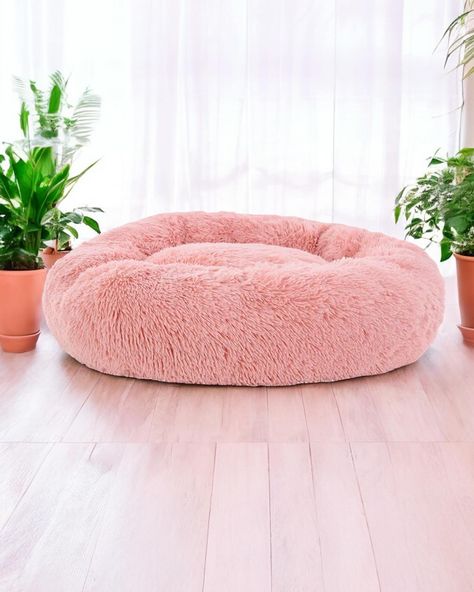 Dog bed in pink💕 A beautiful and stylish addition to your doggy’s collection!🤩 This is a soft, comfortable and cosy bed that ensures your pup has the best rest🐕❤️ . 🛍️ Shop the dog bed at www.DogsBeds.au . 👉 Follow @dogsbeds.store to stay connected! . . #dogsbeds #dogscorner #dogslover Girl Dog Beds, Pink Dog Beds, Stylish Dog Beds, Cute Dog Beds, Cosy Bed, Outdoor Beds, Dog Lady, Dog Car Seats, Dog Items