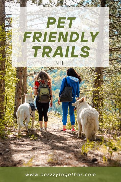 NH Dog Friendly Trails Hiking Dogs, Hiking Spots, Pet Boutique, Hiking Tips, Canine Companions, Best Hikes, Big Sur, Four Legged, Dog Friendly