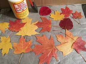 Preserve fall leaves - I've always wanted to capture and keep their color. I hope this method works! Preserve Fall Leaves, Craft Notebook, Thanksgiving Wreath, Leaves Art, Leaf Crafts, Autumn Crafts, Fall Projects, Theme Halloween, Thanksgiving Crafts