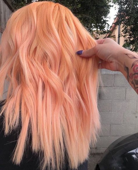 Peach Hair Pastel, Pastel Orange Hair Color, Peach Orange Hair Color, Peach Coloured Hair, Crazy Hair Colour Ideas, Pastel Peach Hair Color, Fun Work Appropriate Hair Color, Pastel Orange Hair Peach, Pumpkin Peach Hair