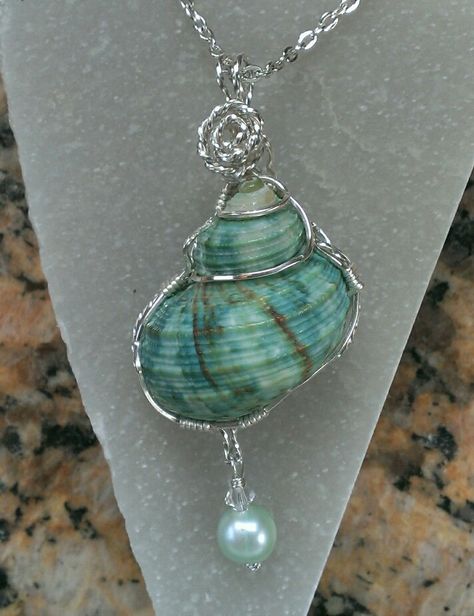 Shell with silver by Renee Ann Seashell Wire Jewelry, How To Wire Wrap Shells, Mermaid Inspired Clothes, Seashell Wire Wrap, Metkayina Jewelry, Handmade Seashell Jewelry, Seashell Jewelry Aesthetic, Sea Shell Necklace Aesthetic, Wire Wrapped Shell Jewelry