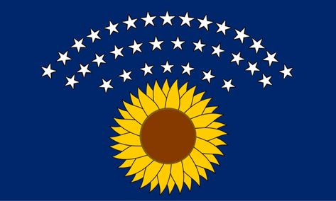 Kansas flag redesign Flag Redesign, Kansas Flag, Us States Flags, Flag Art, U.s. States, State Flags, Kansas, Sci Fi, Flag