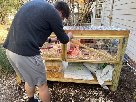 Quail Grow Out Pen, Quail Enclosure Ideas, Natural Quail Habitat, Quail Aviary Ideas, Quail Housing, Quail Habitat, Keeping Quail, Quail Hutch, Quail Pen