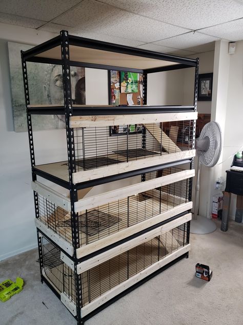 Rabbit Condo Indoor, Dog Area In Office, Vertical Rabbit Cage, Diy Indoor Rabbit House, Bunny Diy Cage, Rabbit Breeder Setup, House For Rabbit, Bunny Tunnel Diy, Walk In Rabbit Enclosure