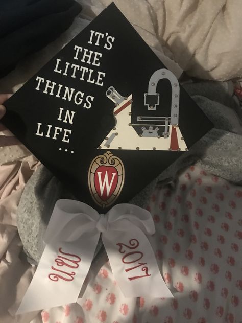 Biology/STEM cute graduation cap! I won the contest for best cap at UW-Madison