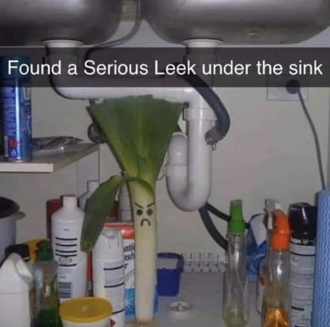 Plumbing Humor, Plumber Humor, Terrible Jokes, Dad Jokes Funny, Best Puns, Good Jokes, Funny Puns, Dad Jokes, Sign Quotes