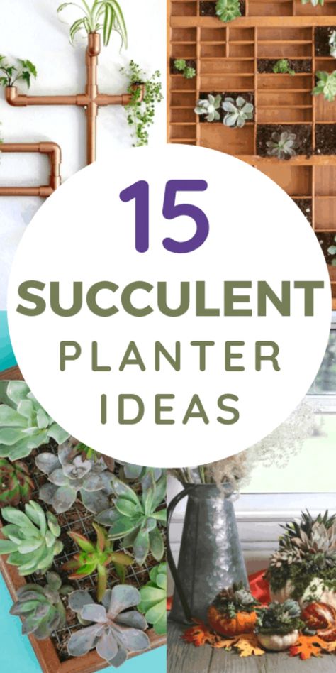 Unique Succulent Planter Ideas, Succulent Planter Ideas, Diy Succulent Planter, Indoor Succulent Planter, Wood Succulent Planter, Succulent Wall Planter, Vertical Succulent Gardens, Succulent Planter Diy, Succulent Planters