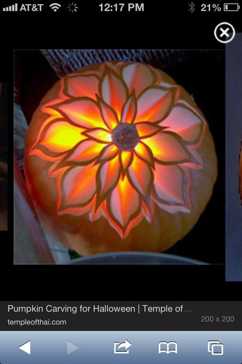 Flower carving pumpkin Flower Jack O Lantern Ideas, Pumpkin Flower Carving, Pumpkin Carving Flower, Floral Pumpkin Carving, Pretty Pumpkin Carving, Flower Pumpkin Carving, 3d Pumpkin Carving, Pumpkin Sculpting, Awesome Pumpkin Carvings