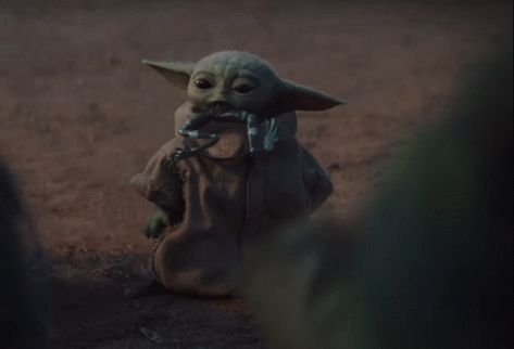 The Mandalorian Baby Yoda GIF - TheMandalorian BabyYoda Frog - Discover & Share GIFs Grogu As A Mandalorian, Yoda Gif, Grogu Eating Frog, Grogu Meditating, Grogu Sleeping, Mandalorian Grogu Gif, Star Wars Meme, Yoda Meme, Star Wars Yoda