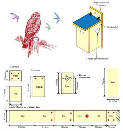 birdhouse-book-pdf Dove Bird House Plans, Chickadee Bird House Plans, House Finch Bird, Finch Bird House, Diy Bird House, Eastern Bluebird Nest Box Plans, Bird House Plans Free, Bird Feeder Plans, Bird & Wildlife Houses