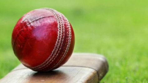 School District Cricket Competition Cricket Ball, Cricket In India, Tennis Equipment, Cricket Wallpapers, Cricket Balls, Cricket Club, Test Cricket, Team Coaching, Cricket Teams