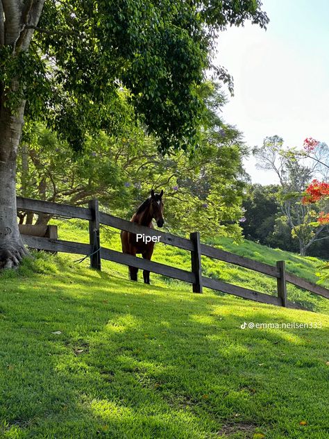 Emma Nielsen, Emma Neilsen, Cute Horse Riding Outfits, Aesthetic Farm, Australian Farm, 11 February, Horse Riding Clothes, Farms Living, February 10