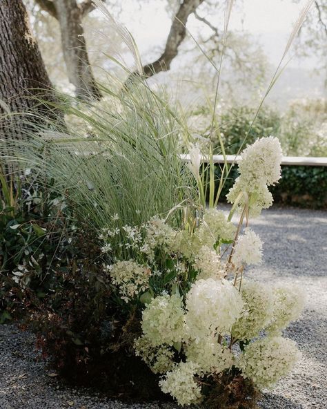 Grasses Wedding Flowers, Ceremony Meadow, Aisle Arrangements, Wedding Design Board, Wedding Stone, Aisle Flowers, Grass Wedding, Napa Wedding, Flower Installation