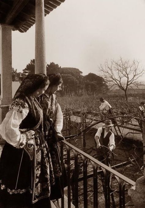 Old portugal Ancient Portugal, Portuguese Symbols, Portuguese Folklore, Portugal Culture, Caucasian Race, Vintage Portugal, Portugal Flag, Portuguese Culture, Ideal Beauty