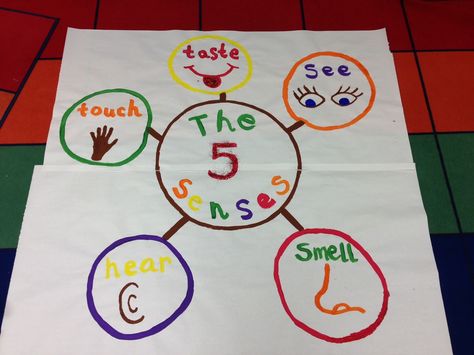 5 senses crafts for preschool | Posted by Kindergarten Smarts at 10:38 AM Senses Anchor Chart, Kindergarten Science Projects, 5 Senses Craft, Five Senses Preschool, 5 Senses Activities, Senses Preschool, Thinking Maps, Senses Activities, The Five Senses