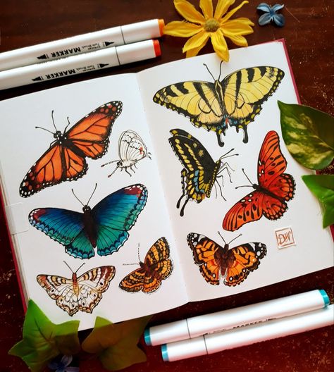 Butterfly Marker Drawing, Alcohol Ink Marker Drawings, Aesthetic Alcohol Marker Art, Alcohol Pen Drawings, Alcohol Markers Illustration, Alcohol Marker Sketchbook, Sketchbook Butterflies, Alcohol Marker Doodles, Alcohol Ink Marker Art