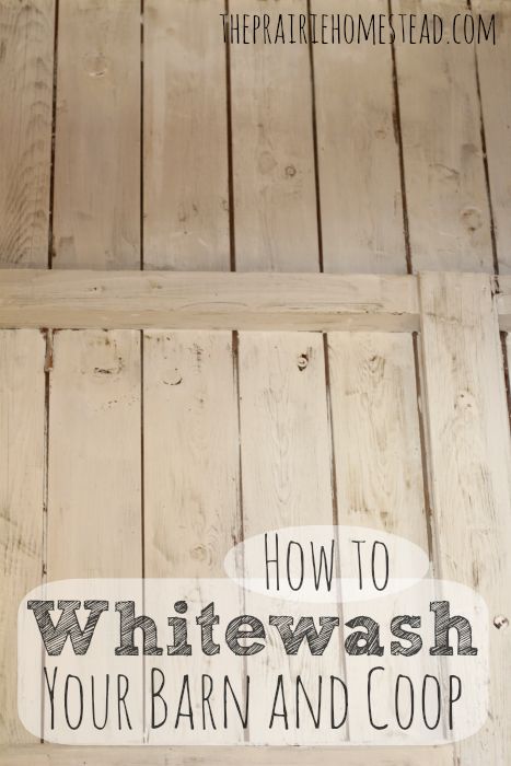 How to Whitewash your barn or coop The Prairie Homestead, Cheap Chicken Coops, How To Whitewash, Prairie Homestead, Portable Chicken Coop, Keeping Chickens, Building A Chicken Coop, Mini Farm, Diy Chicken Coop