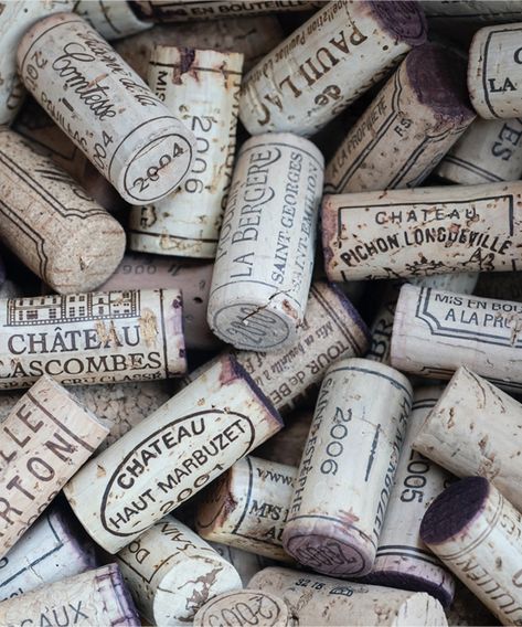 The Become a French Wine Expert Program highlights French wines and theory to impart a deeper appreciation for France as a wine industry leader. Semillon, Wine Magazine, Wine Expert, Chenin Blanc, Motivational Stories, Wine Corks, French Wine, Women Magazines, Screw Caps