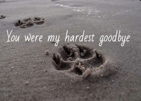 You Were My Hardest Goodbye, Quotes About Loosing Your Dog, Losing A Pet Quotes, Dog Heaven Quotes, Rip Dog, Hardest Goodbye, Miss My Dog, Dog Poems, Dog Quotes Love