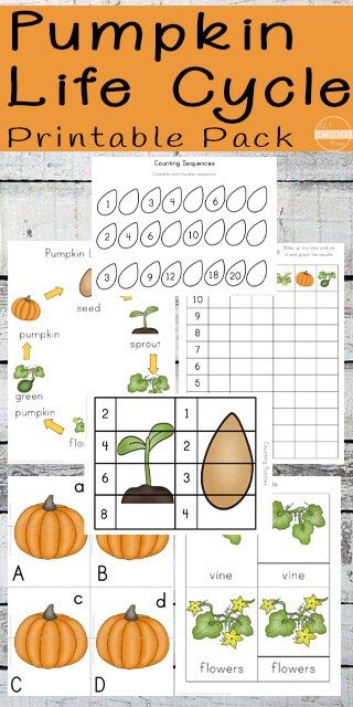 FREE Pumpkin Life Cycle Worksheets for Preschool, Prek, Kindergarten, first grade, 2nd grade, and 3rd grade kids to practice alphabet letters, life cycle, writing, skip counting, nouns, and so much more! FUN Fall worksheets for kids #pumpkins #lifecycle #kindergarten Pumpkin Science Experiment, Pumpkin Math Activities, Pumpkin Investigation, Pumpkins Preschool, Pumpkin Science, 123 Homeschool 4 Me, Pumpkin Unit, Fall Worksheets, Pumpkin Life Cycle