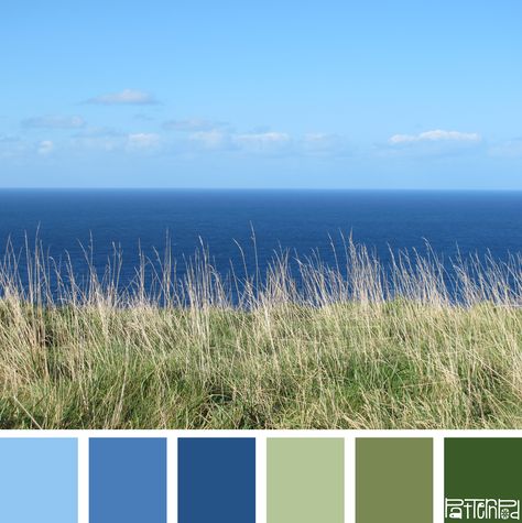 Color Palette Blue Green Yellow, Colour Palette Blue Green, Colors That Go With Dark Blue, Blue Green Brown Color Palette, Blue Green Colour Palette, Blue And Green Colour Palette, Color Palette Blue Green, Green And Blue Palette, Blue And Green Palette