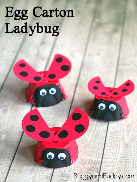 Eric Carle Crafts, Ladybug Craft, Thanksgiving Activities For Kindergarten, Crafts Recycled, Insect Crafts, Ladybug Crafts, Bug Crafts, Egg Carton Crafts, Spring Crafts For Kids