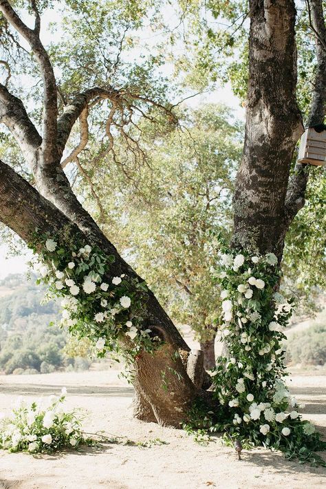 Outdoor Wedding Tree, Minimalist Wedding Decorations, Outdoor Wedding Ceremonies, Wedding Design Board, Floral Ceremony, Elegant Outdoor Wedding, California Wedding Venue, Northern California Wedding Venues, Minimalist Wedding Decor