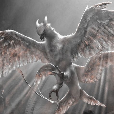 Fantasy Winged Creatures, Made Up Mythical Creatures, Magical Flying Creatures, Griffon Aesthetic, Mythical Creatures Aesthetic, Griffin Flying, Griffin Aesthetic, Mystical Creatures Mythology, Winged Creatures