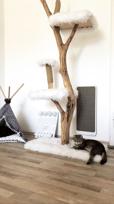 Comfy cat place with a nature scratching post, a Tipi and a scratching board Cat Place, Katt Diy, Cat Tree Designs, Katt Grejer, Cat Patio, Diy Cat Tree, Cat House Diy, Cat Essentials, Cat Playground