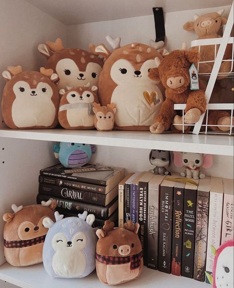 Stuffies Aesthetic Room, Brown Squishmallow Aesthetic, Squishmallows College Dorm, Squishmallow Room, Squishmallows Cottagecore, Squshmellow Collection Aesthetic, Squishy Collection, Squish Mallows, Personalized Board