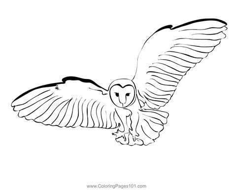 Birds barn Owl 4 Coloring Page Owls Coloring Pages, Owl Coloring Page, Great Gray Owl, Owl Coloring, Owl Printables, Owl Coloring Pages, Bird Barn, Great Grey Owl, Gray Owl