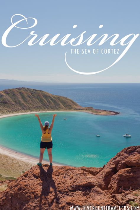 From the moment we were first introduced to the company, we knew we wanted to take a Baja Mexico cruise on the Sea of Cortez with UnCruise Adventures.The days are spent whale watching from the bow, kayaking in crystalline waters, hiking among towering cactus, snorkeling over reefs and bird watching from the edge of a skiff. #Baja #SeaofCortez #Cruise #Planyourtrip #Mexico #Uncruise #AdventureTravel #Adventure Blog Success, Mexico Cruise, Sea Of Cortez, Travel Mexico, Full Time Travel, Mexico Resorts, Travel Plan, Travel Pics, Going Places