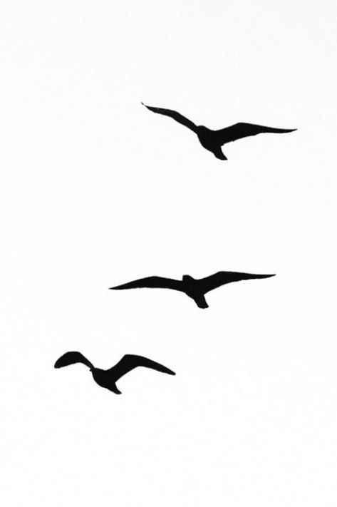 Seagull Tattoo, Flying Bird Silhouette, Marine Tattoo, Vogel Silhouette, Flying In The Sky, Bird Flying, Three Birds, Bird Silhouette, Birds Tattoo