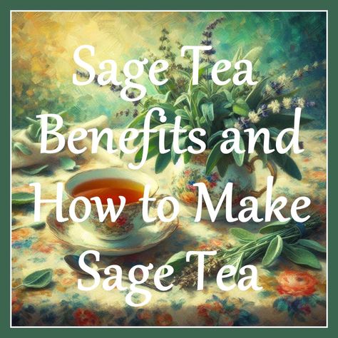 Sage Health Benefits and How to Make Sage Tea Sage Tea Recipe, Sage Health Benefits, Sage Benefits, Propagating Roses, Watercolor Koi Fish, Sage Tea, Dental Cavities, Health Tea, Sage Leaves