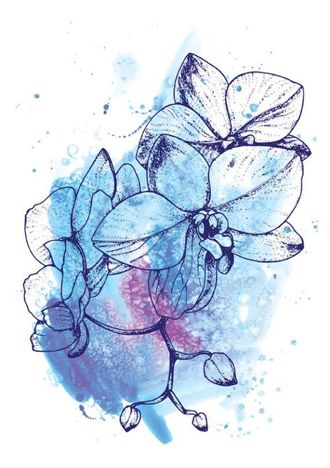 Orchids are a popular flower as they are unusual, exotic and delicate. In the language of flowers, they are a symbol of beauty and elegance.  Blue orchids are particularly rare, which is why I chose to illustrate them. I used splashes of blue tones throughout to try to reflect the energy and true beauty of these flowers.  This print would make a unique gift for someone special, as a message of love and admiration, for a birthday or anniversary present.  To create this piece of art, I used a c... Orchid Wall, Orchid Wall Art, Drawing Blue, Blue Drawings, Flowers Drawing, Drawing Flowers, Blue Orchids, Trendy Flowers, Infinity Dress