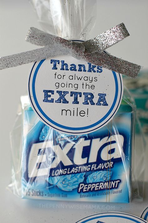 DIY Gift Idea with FREE printable gift tags - "Thanks for always going the EXTRA mile!" Makes a great teacher appreciation gift. Appreciation Gifts Diy, Volunteer Gifts, Pastors Appreciation, Free Printable Gifts, Volunteer Appreciation, Teachers Diy, Free Printable Gift Tags, Printable Gift Tags, Ge Bort