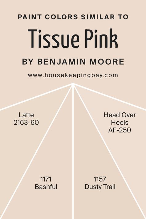 Colors Similar to Tissue Pink 1163 by Benjamin Moore Ashley Gray, Red Paint Colors, Trim Colors, Paint Colors Benjamin Moore, Benjamin Moore Colors, Paint Color Palettes, Pink Paint, Red Paint, Trim Color