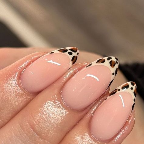 Lepord Print Nails Design, Nails 23, Biab Nails, Minimalist Nail, Cute Halloween Nails, Leopard Print Nails, Leopard Nails, Cute Gel Nails, Brown Nails