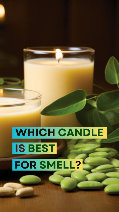 Unveil the secrets behind the best scented candles for your home. From their sustainable benefits to the mesmerizing fragrances, learn why soy candles are the top choice for many. Perfect for a cozy evening or a thoughtful gift. 🎁🕯️ #HomeAmbiance #SoyCandles #EcoDecor Best Scented Candles, Eco Decor, Popular Scents, Candle Studio, Cozy Evening, Best Candles, Sharjah, Fresh And Clean, Scented Candle