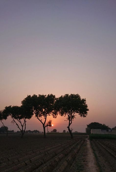 Sunset view by @iamosamach Village Snapchat Story, Village Night View, View Snapchat, Village Pic, Nature Edits, Sunset Village, Room Snapchat, Brocade Saree, Village Photos