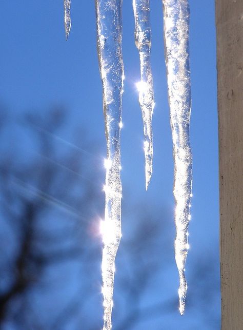 melting icicles… pretty, Fotografie van winter, ijs en natuur, ijskristallen en ijsbloemen, tuinieren, seizoenen, Winters Tafereel, Winter Schnee, Cool Winter, I Love Winter, Winter Love, Winter Magic, Winter Beauty, Snow And Ice, Winter Wonder