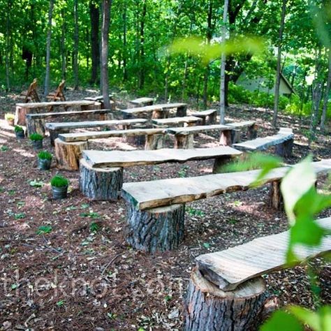 Forest wedding benches! You know, if I can find a forest to have my wedding in. Wedding Bench, Rustic Wooden Bench, Wooden Benches, Deco Champetre, Tree Stumps, Enchanted Forest Wedding, Ceremony Seating, Camping Area, Tree Stump