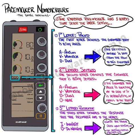 David Convissar, MD’s Instagram post: “In continuing with our lesson on pacemakers, I would be remiss if we did not address the nomenclature of the pacemaker. Now this is for a…” Cath Lab Nursing, Cardiac Cath, Acute Care Nurse Practitioner, Nurse Teaching, Doctor Of Nursing Practice, Nursing Classes, Cardiac Nurse, New Grad Nurse, Nursing School Motivation