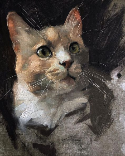 Jennifer Gennari on Instagram: “New cat for sale! I just started her so this would be kind of a sale before the official sale. But if you're interested in taking her home,…” Jennifer Gennari, Cat Portrait Painting, Painting Cat, Cat Art Illustration, Dog Artwork, Cat Artwork, Cat Portrait, Custom Dog Portraits, Cats Illustration