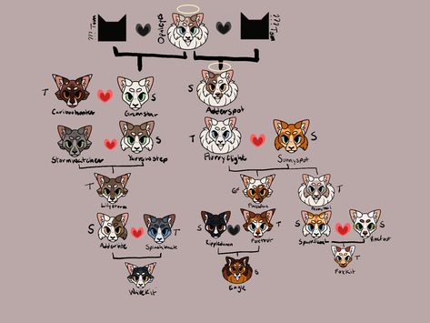 warrior cats oc art Warrior Cats Family Tree, Cats Family, Warrior Cat Oc, Cat Oc, Warrior Cats Art, Cats Art, Cat Family, Warrior Cats, Family Tree