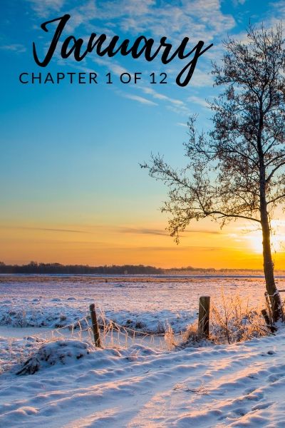 january, chapter one of twelve, RJ Scott MM Romance Author January Chapter 1 Of 12, Chapter 1 Of 12, Winter January, Monthly Quotes, Writing Romance, Mm Romance, Happy New Year Images, Romance Stories, New Year Images