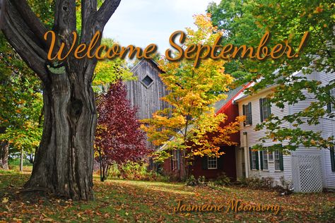 Welcome to September!!! It’s no secret that I am a New England Witch and I love this time of year. Fall in New England is gorgeous!! It also seems to suit the area as well. Something about Autumn leaves, crisp apples, cool air and bright blue skies just seems to enhance the energy of New England. I find this especially true with the old seacoast towns.  For this reason and so many more, September has always been my favorite month here in New England.  Once again I can open the windows at night Windows At Night, Welcome To September, Fall In New England, Welcome September, Ber Months, Moon Song, New England Fall, Blue Skies, Bright Blue