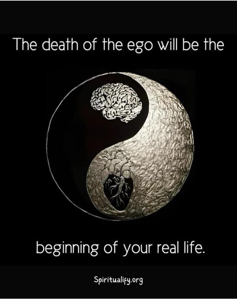 Yin Yang Quotes, Positive Energy Quotes, How High Are You, Energy Healing Spirituality, Awakening Quotes, Doing Me Quotes, Quotes And Notes, Daily Inspiration Quotes, Better Life Quotes