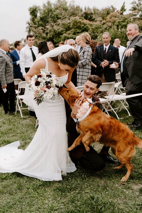 Dog Down The Aisle, Dog Walking Down The Aisle, Dog Walking Down Aisle Wedding, Dog Flower Girl, Wedding Walk, Courthouse Wedding Photos, Flower Girl Wedding, Future Wedding Plans, Wedding 2024